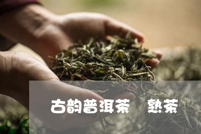 古韵普洱茶 熟茶/2023041268361